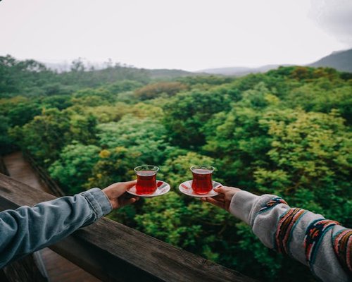 Family enjoying evening tea on balcony in India